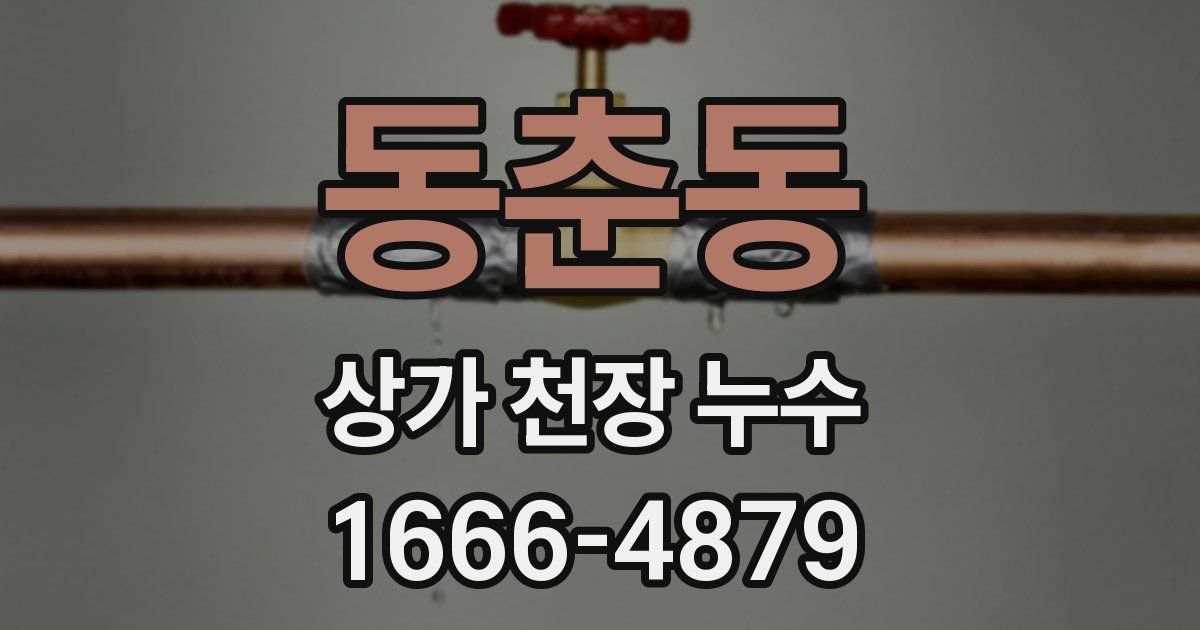 동춘동 상가 천장 누수