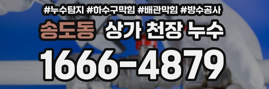 송도동 상가 천장 누수