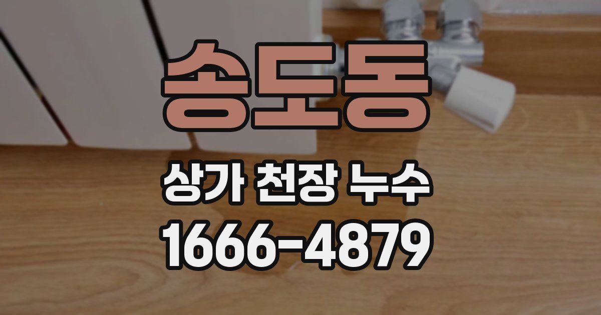 송도동 상가 천장 누수