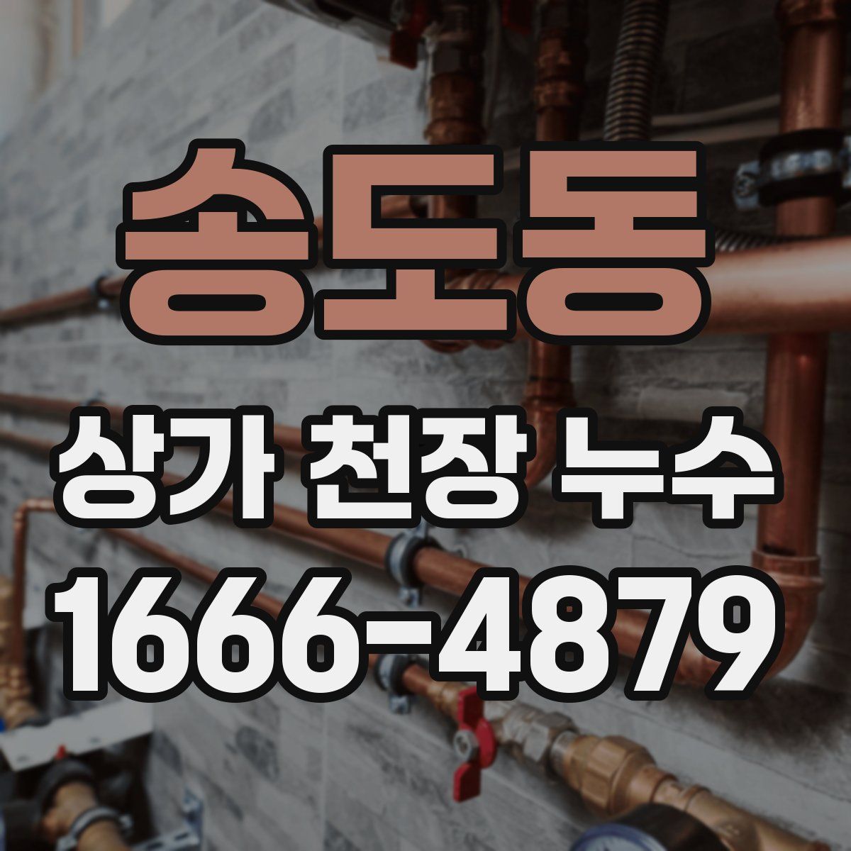 송도동 상가 천장 누수