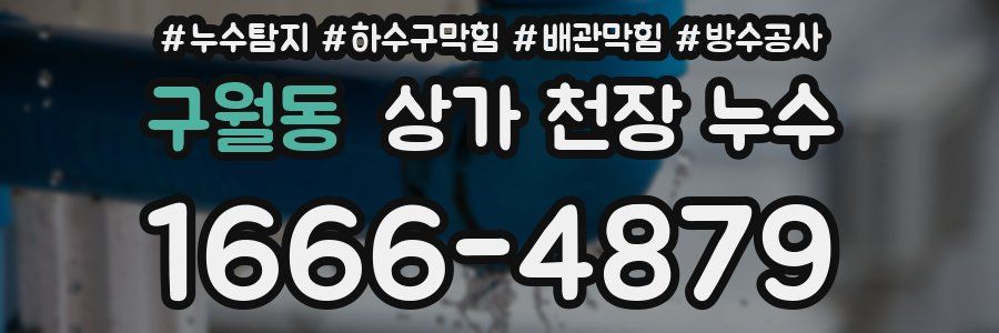 구월동 상가 천장 누수