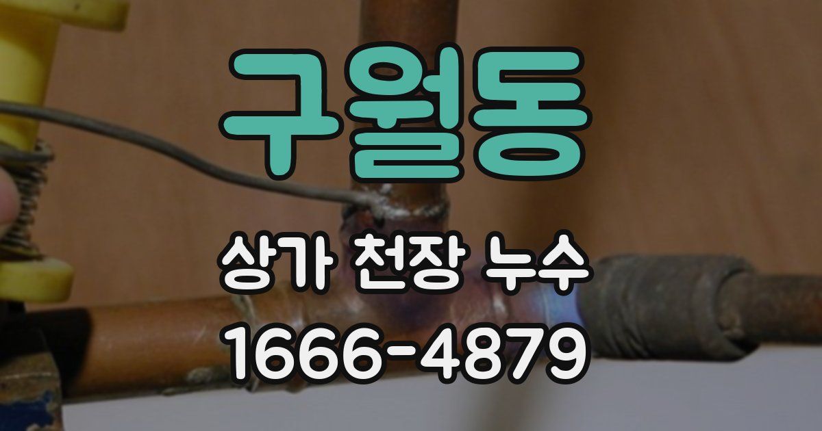 구월동 상가 천장 누수