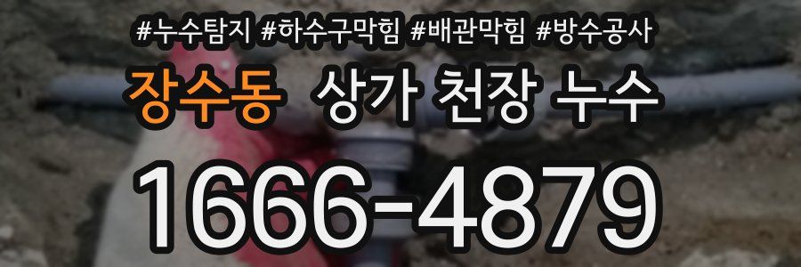 장수동 상가 천장 누수