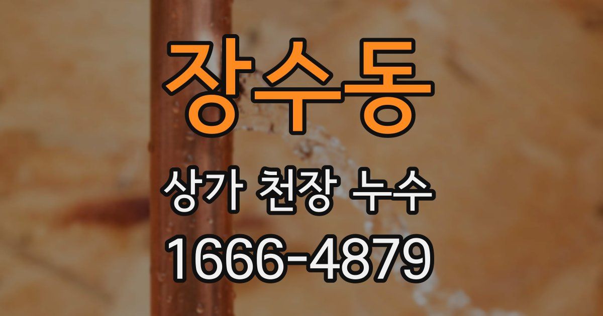 장수동 상가 천장 누수