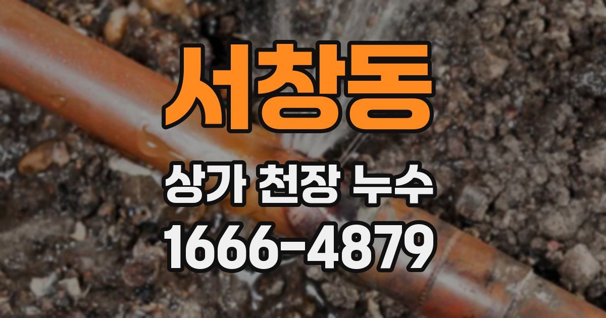 서창동 상가 천장 누수