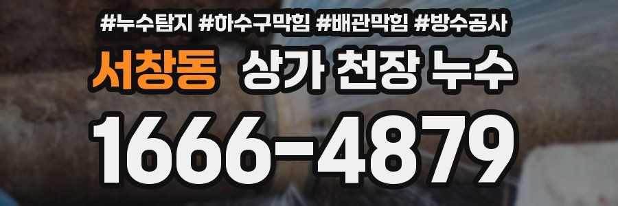 서창동 상가 천장 누수