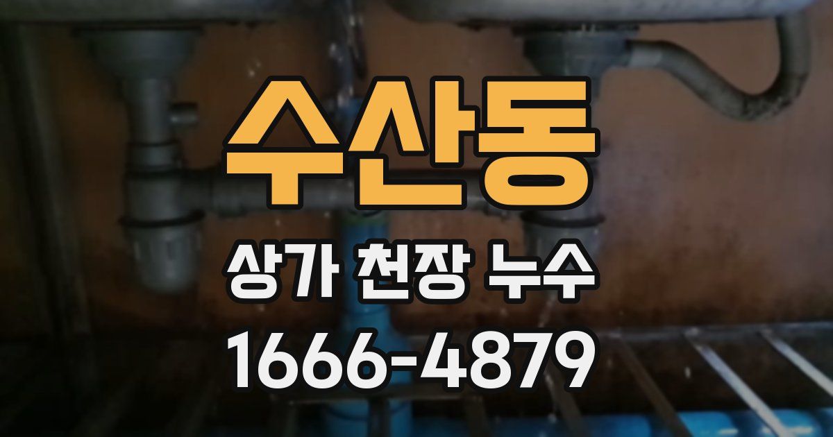 수산동 상가 천장 누수
