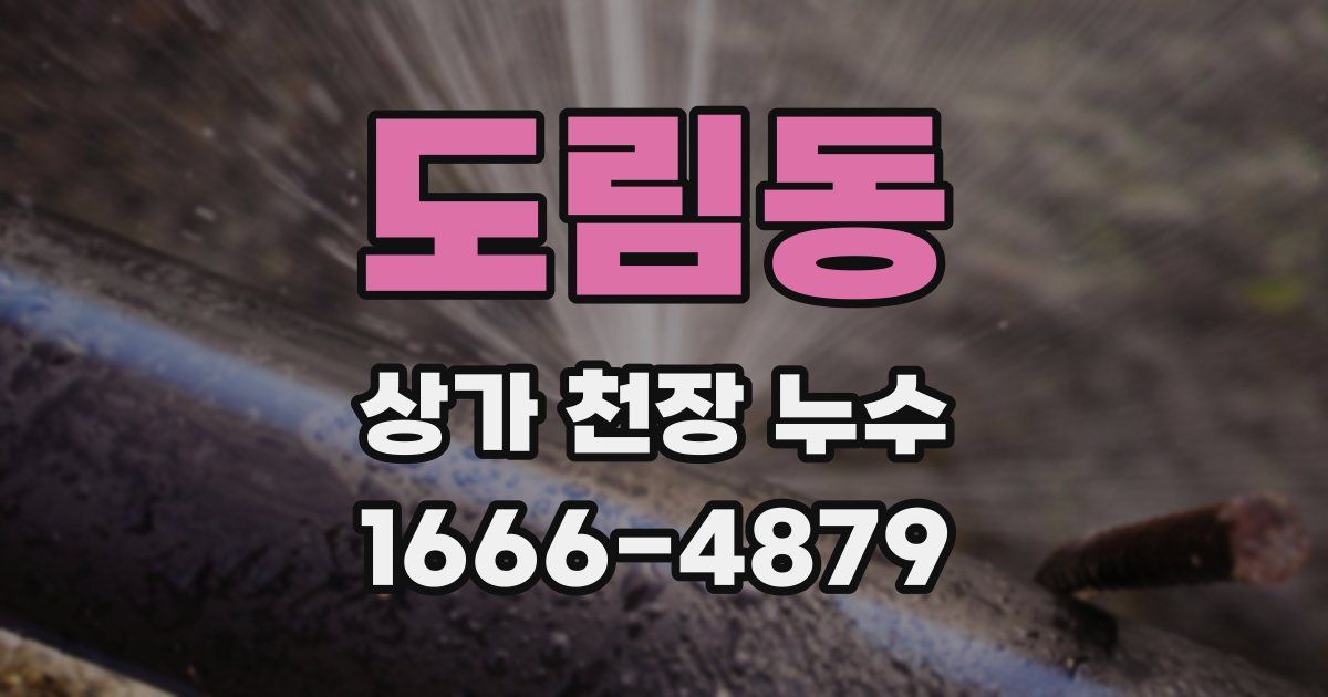 도림동 상가 천장 누수