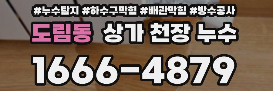 도림동 상가 천장 누수