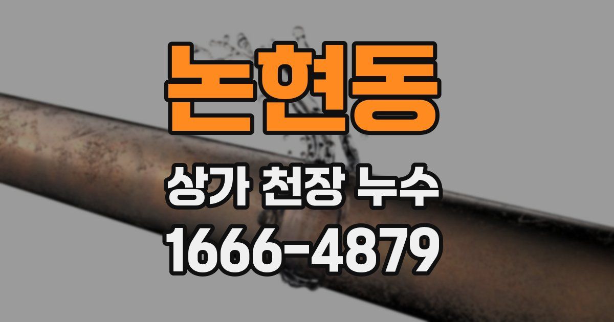 논현동 상가 천장 누수