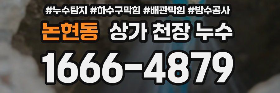 논현동 상가 천장 누수