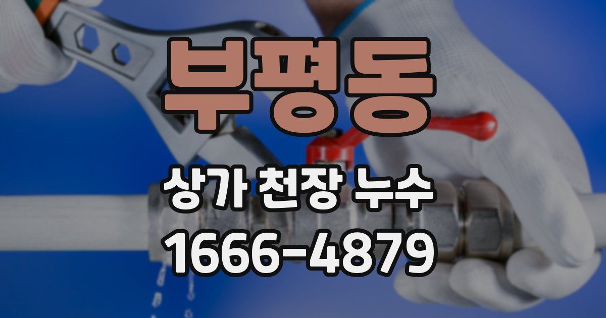 부평동 상가 천장 누수