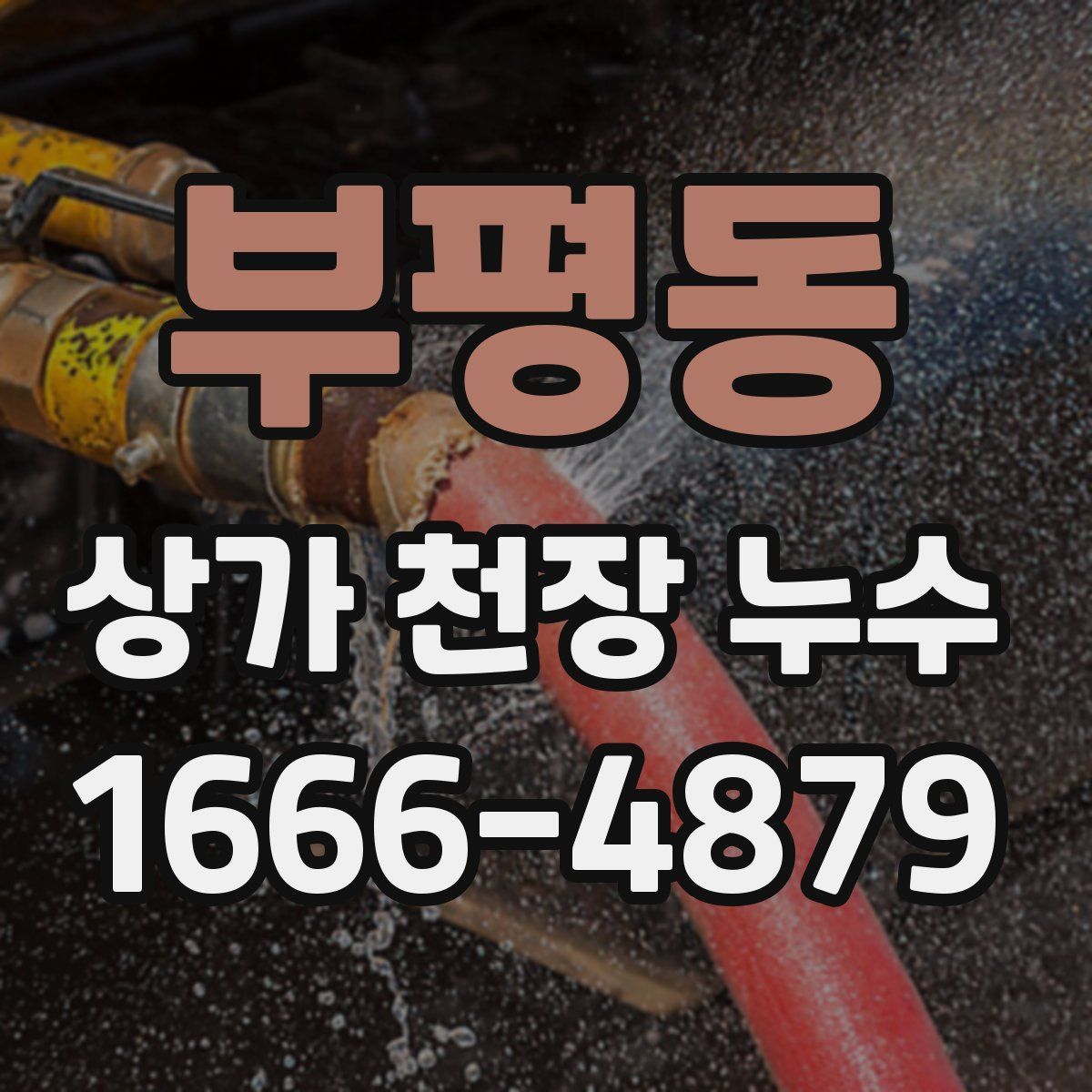 부평동 상가 천장 누수