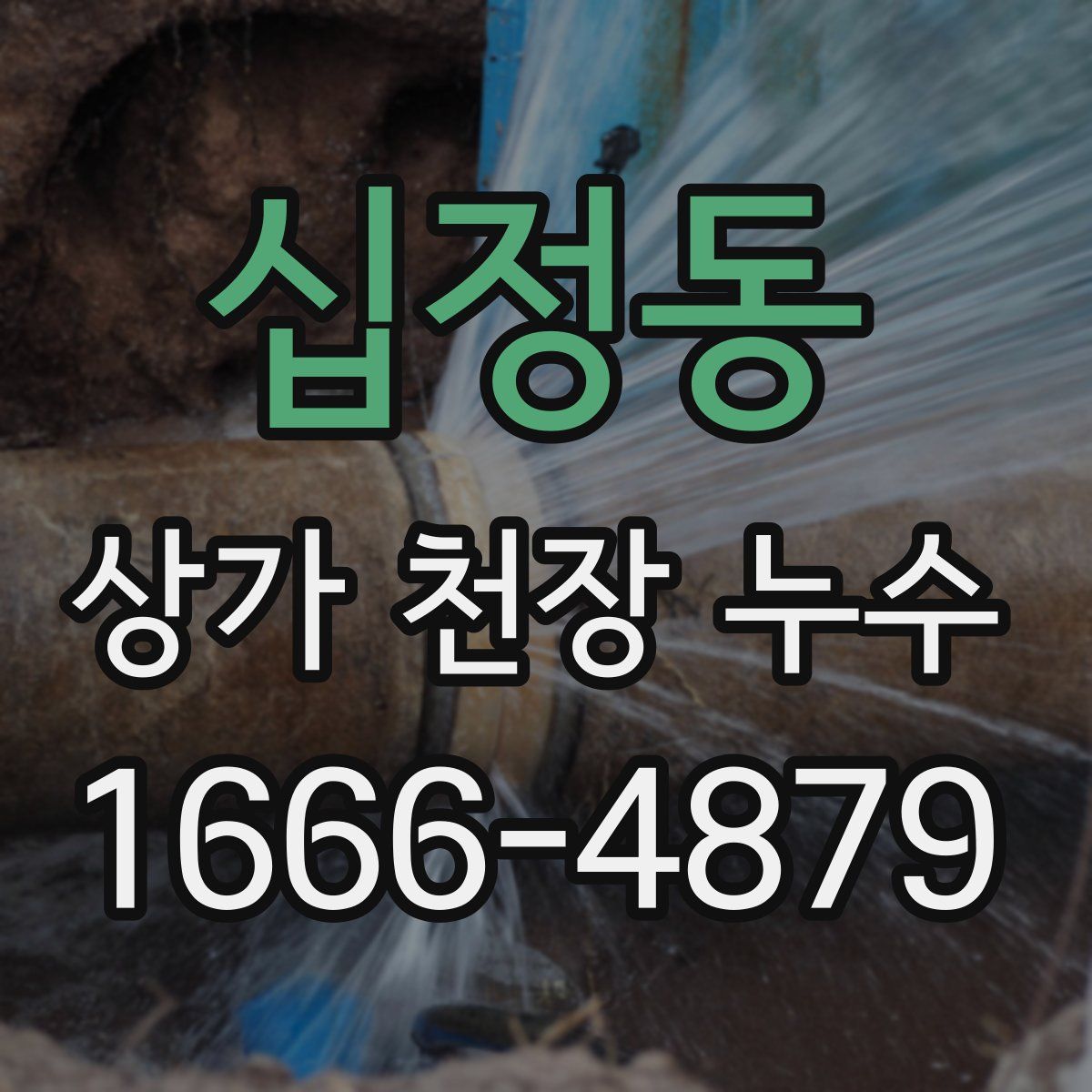 십정동 상가 천장 누수