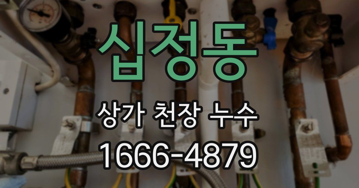 십정동 상가 천장 누수