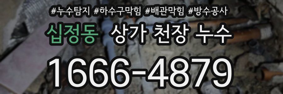 십정동 상가 천장 누수