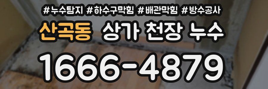 산곡동 상가 천장 누수