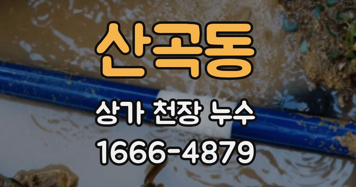산곡동 상가 천장 누수