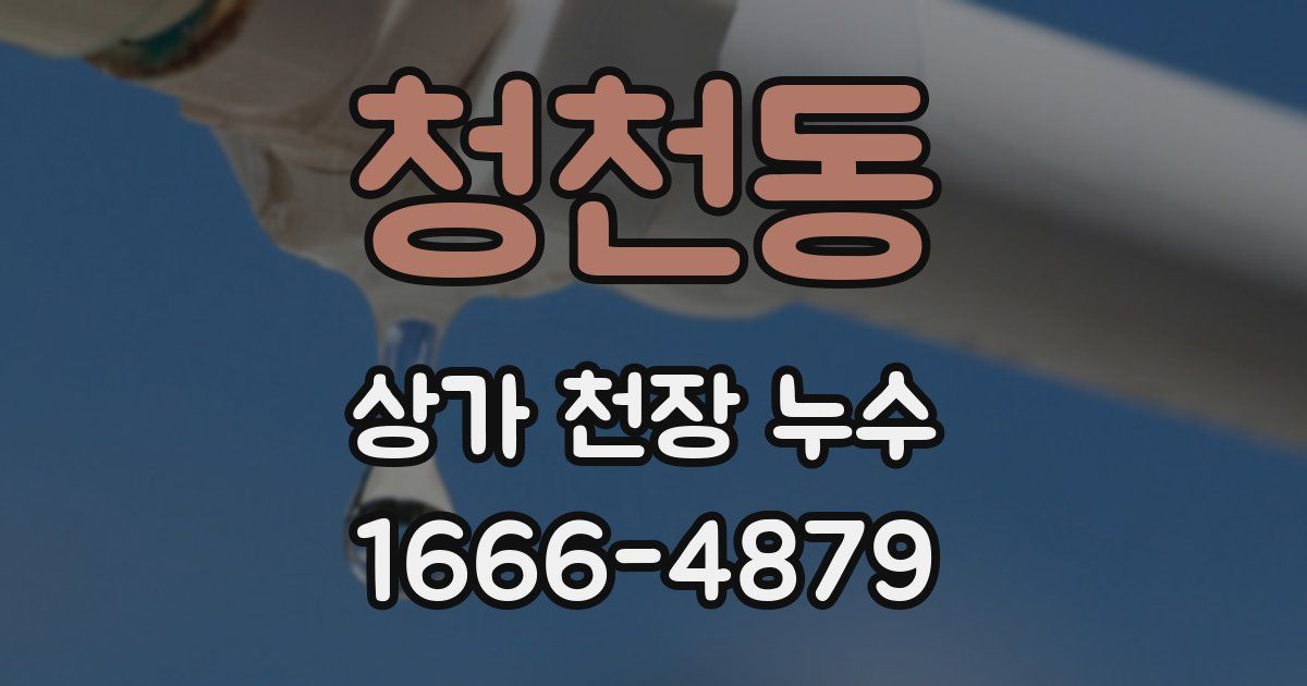 청천동 상가 천장 누수