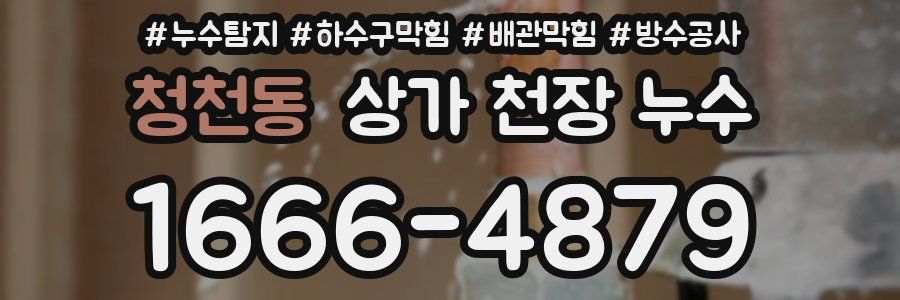 청천동 상가 천장 누수
