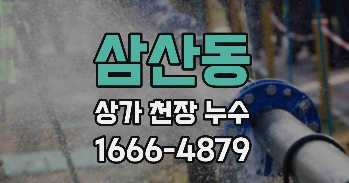 삼산동 상가 천장 누수