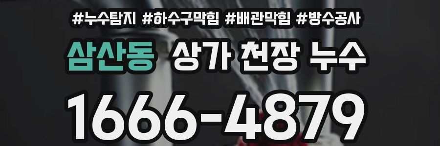 삼산동 상가 천장 누수