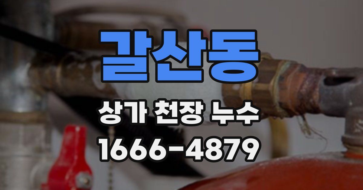 갈산동 상가 천장 누수