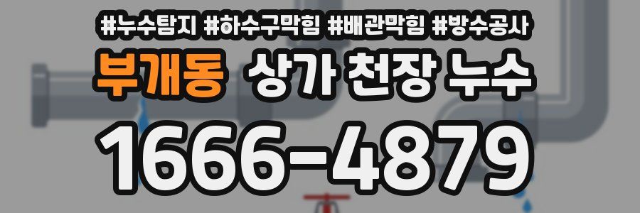 부개동 상가 천장 누수