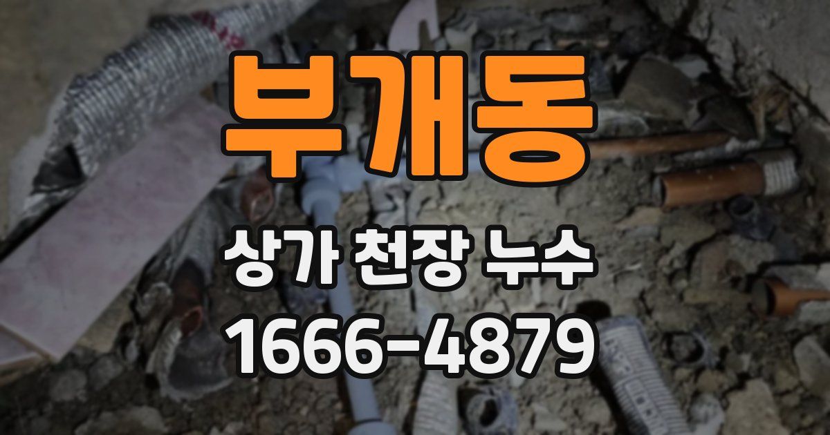 부개동 상가 천장 누수