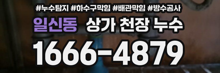 일신동 상가 천장 누수