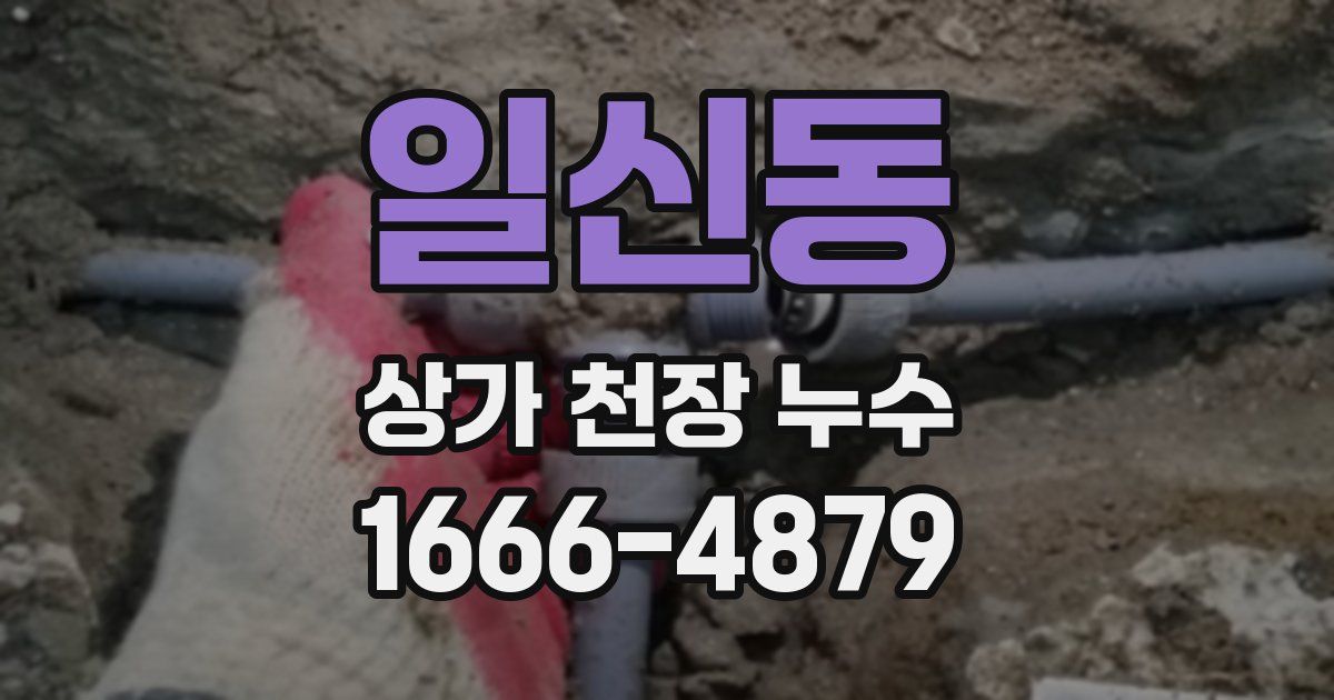 일신동 상가 천장 누수