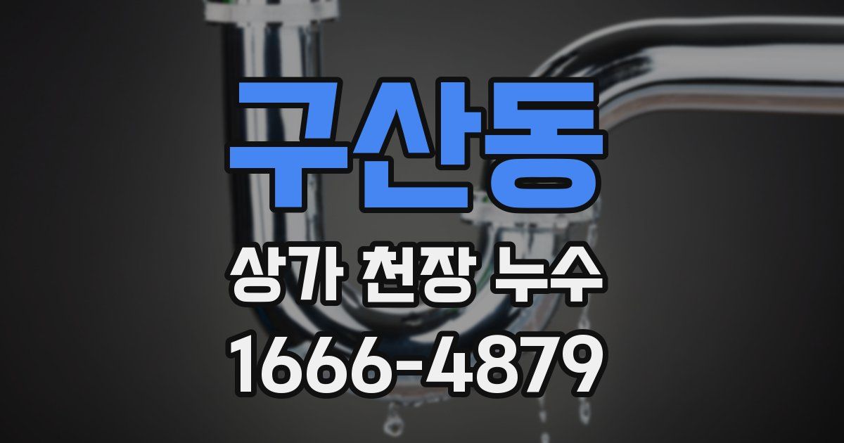 구산동 상가 천장 누수