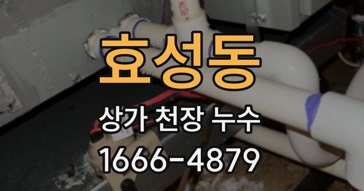 효성동 상가 천장 누수