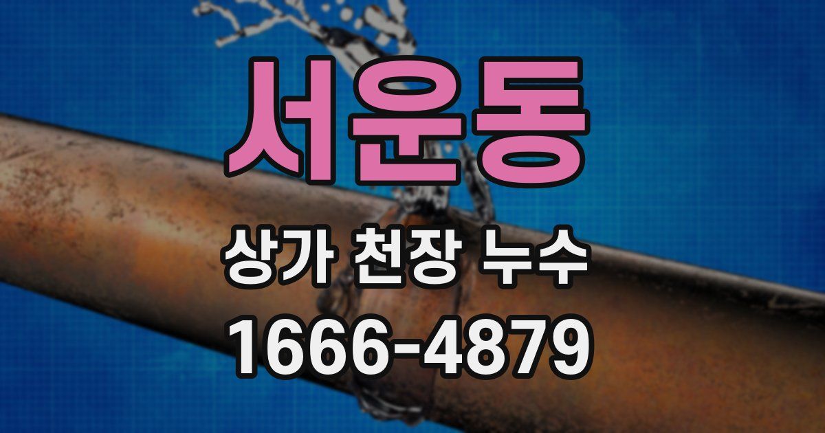서운동 상가 천장 누수