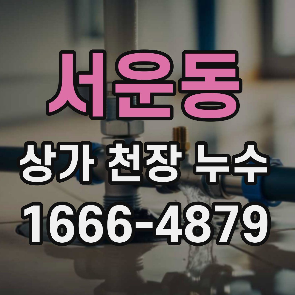 서운동 상가 천장 누수