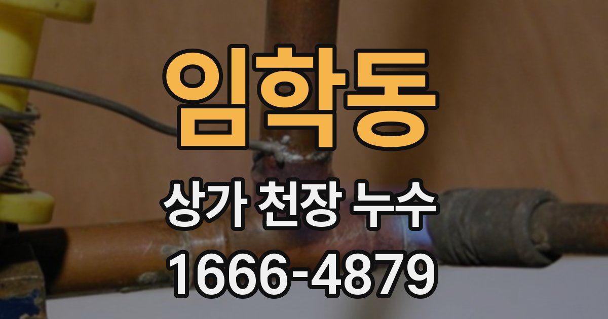임학동 상가 천장 누수