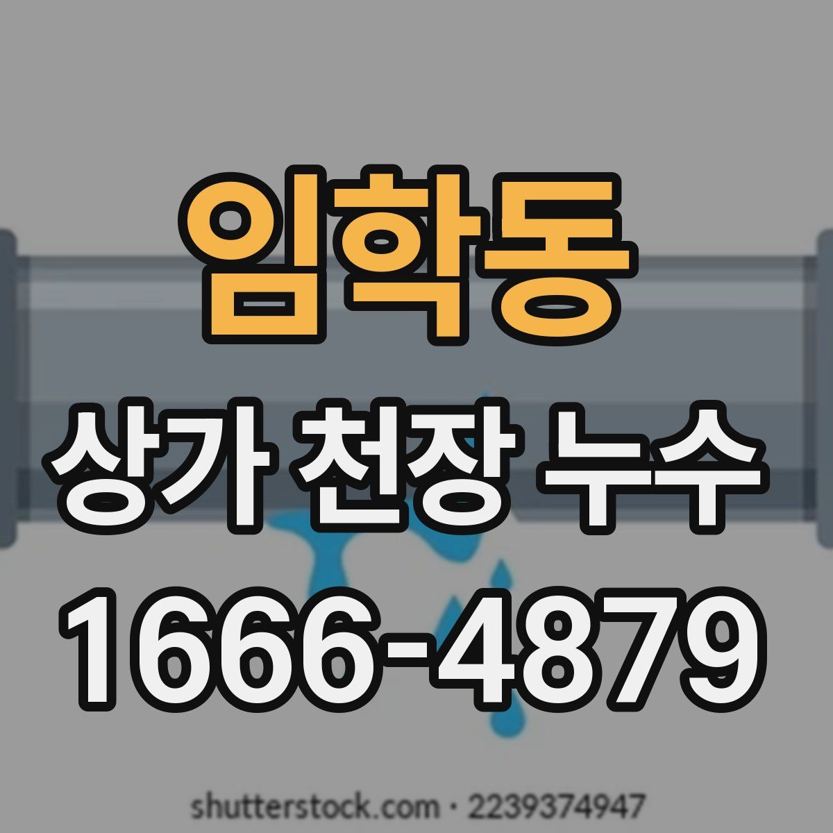 임학동 상가 천장 누수