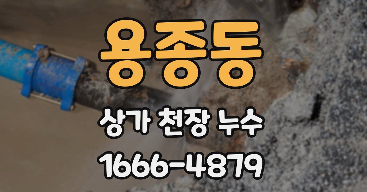 용종동 상가 천장 누수