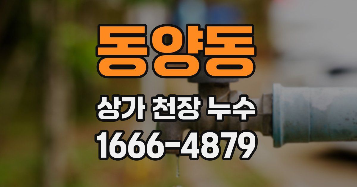 동양동 상가 천장 누수