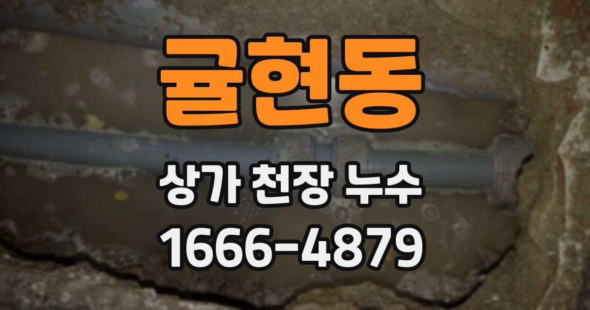귤현동 상가 천장 누수