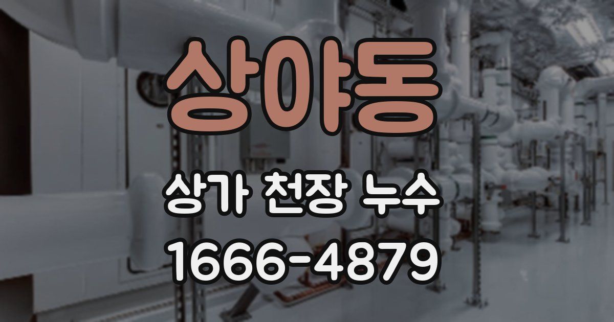 상야동 상가 천장 누수