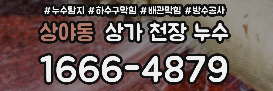 상야동 상가 천장 누수
