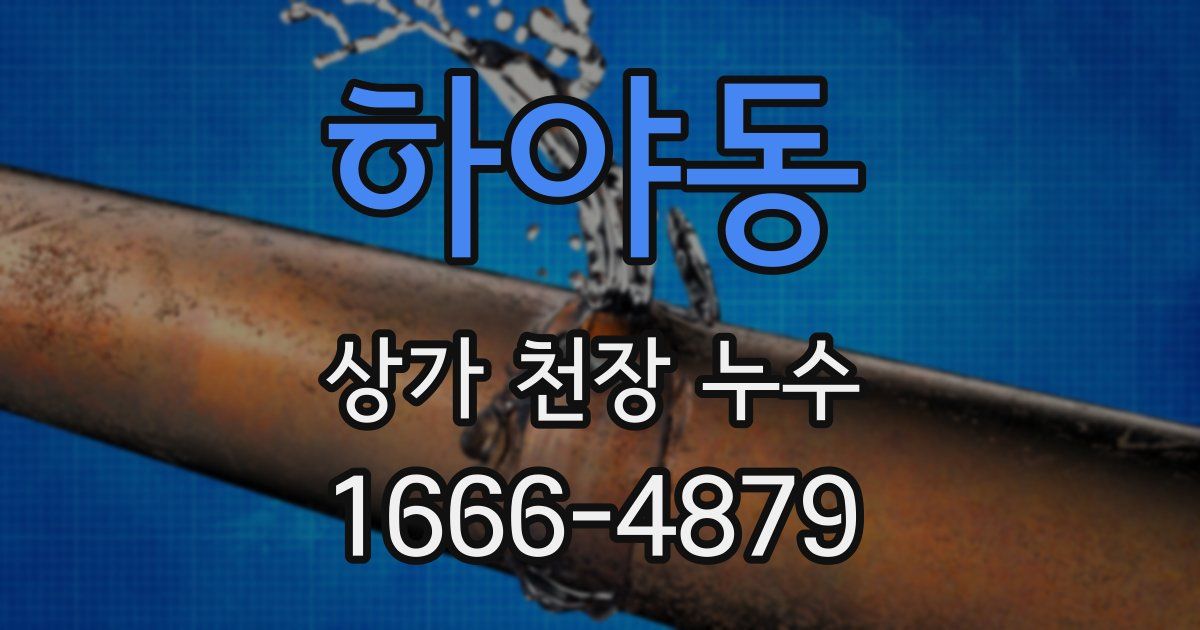 하야동 상가 천장 누수