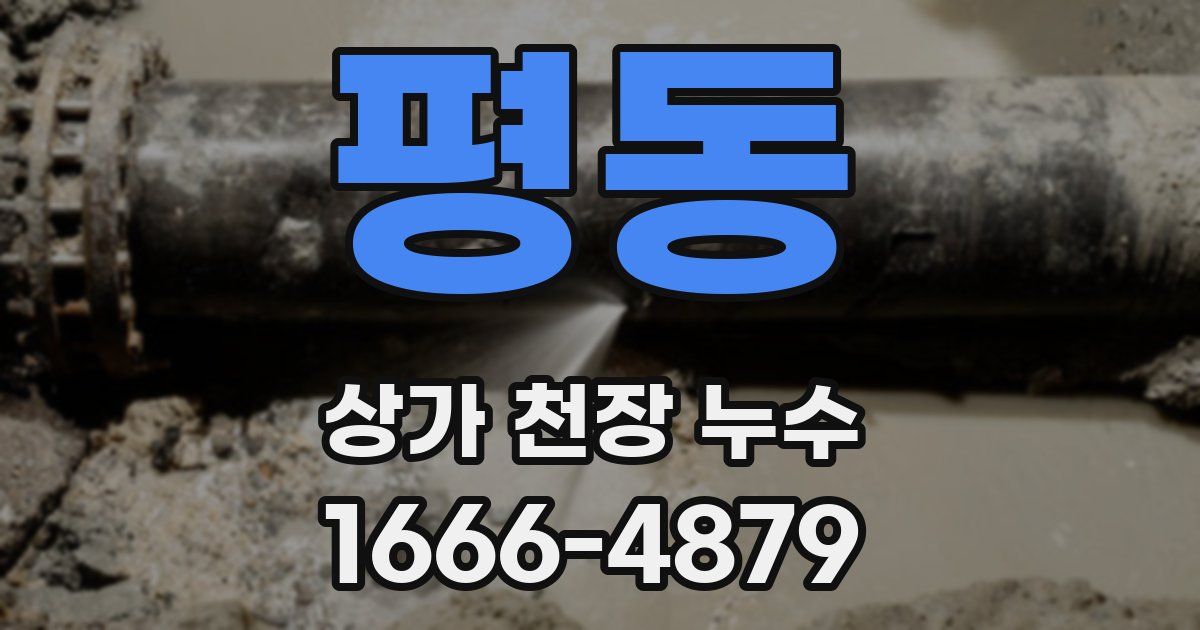 평동 상가 천장 누수