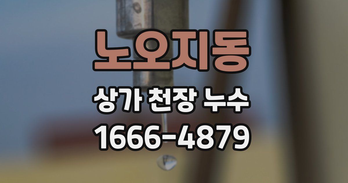 노오지동 상가 천장 누수