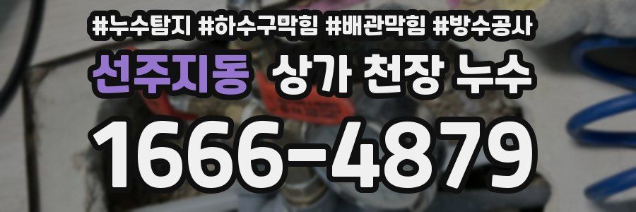 선주지동 상가 천장 누수