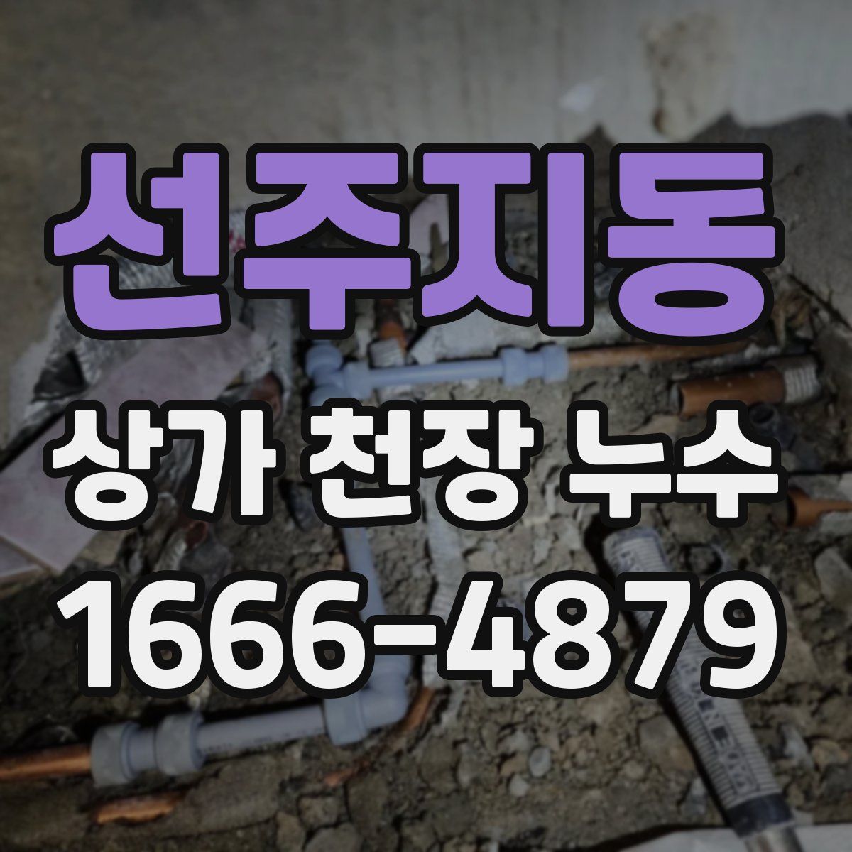 선주지동 상가 천장 누수