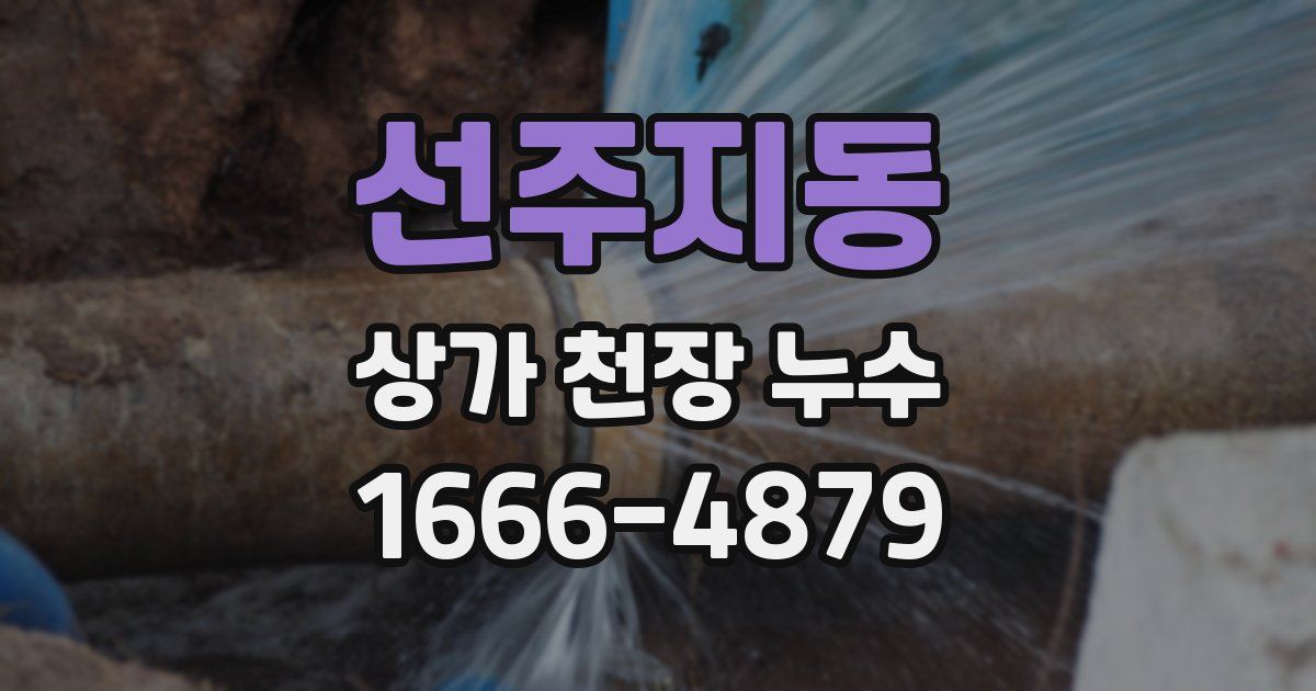 선주지동 상가 천장 누수