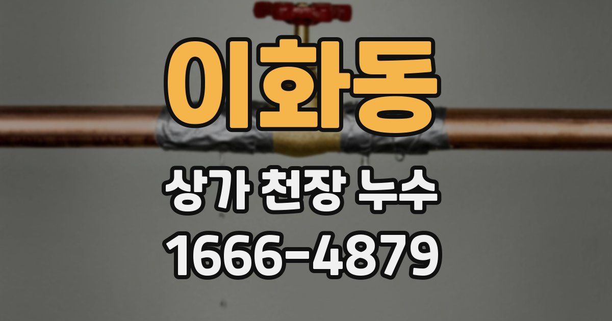 이화동 상가 천장 누수