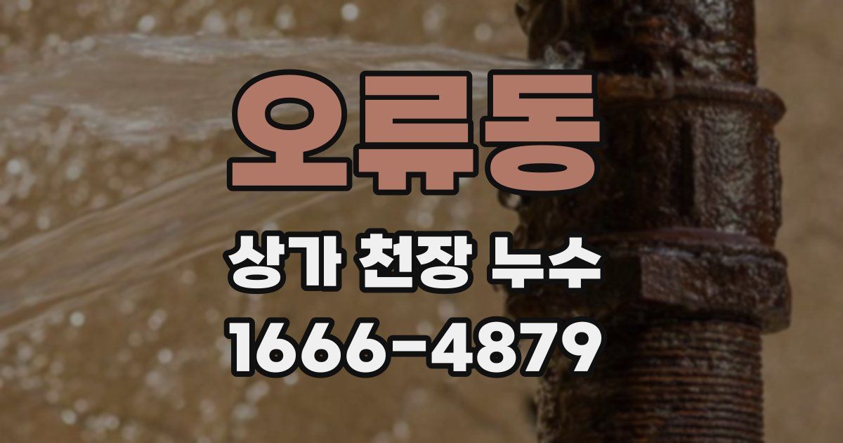 오류동 상가 천장 누수